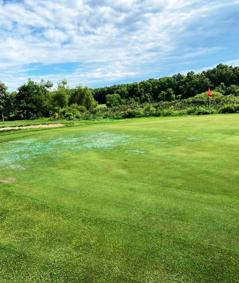 Gauci Golf Resort (Irish Hills Golf Club) - From Web Listing (newer photo)